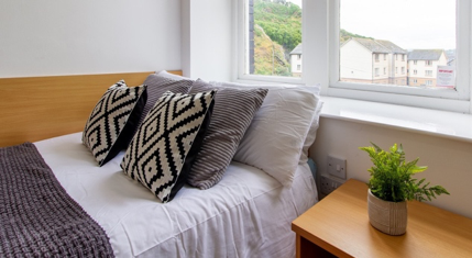 学生公寓-Alexandra-Hall-Aberystwyth-bronze-double-room